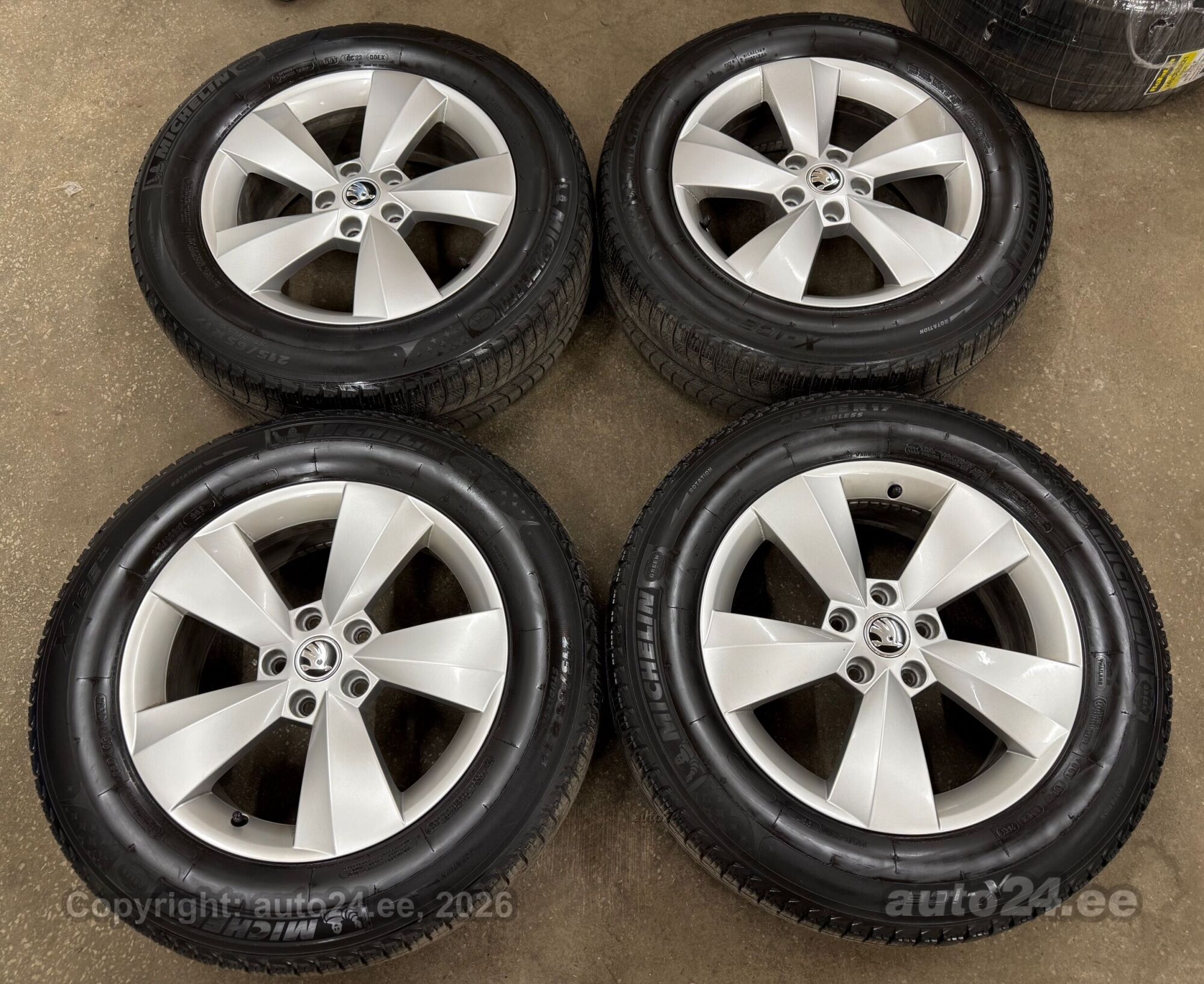 Skoda Michelin X-ICE – foto 1